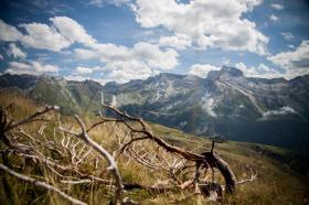 Pyrénées