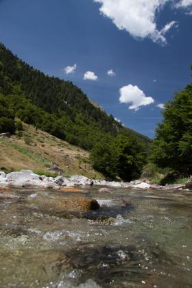 Pyrénées